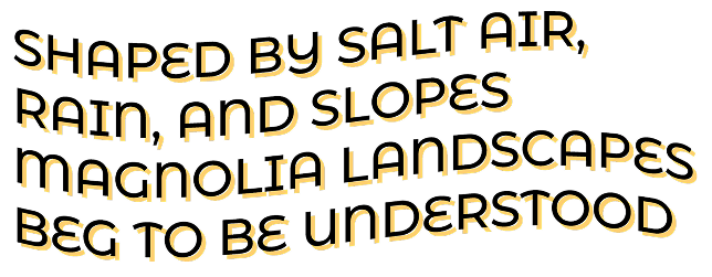 Shaped by salt air, rain, and slopes magnolia landscapes beg to be understood