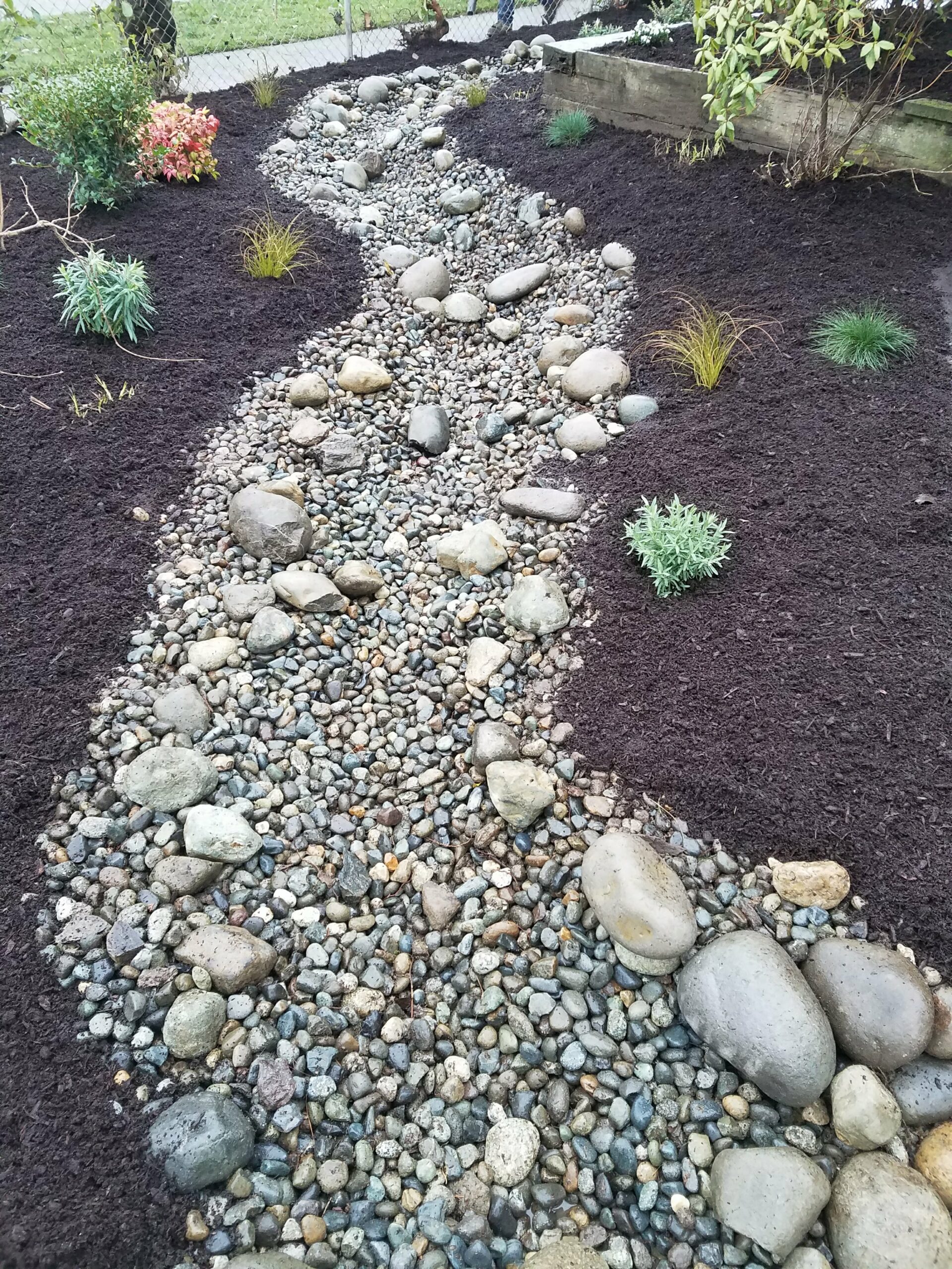 Sustainable landscaping through Xeriscaping