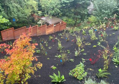 Hillside erosion control planting