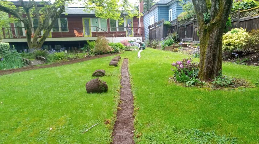 Landscaping irrigation job perfectly performed