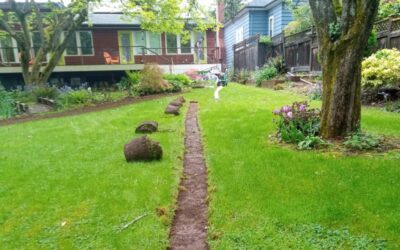Best Landscapers In Seattle
