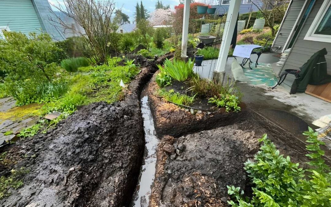 French Drain Installation in Seattle