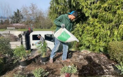 Organic Fertilizer