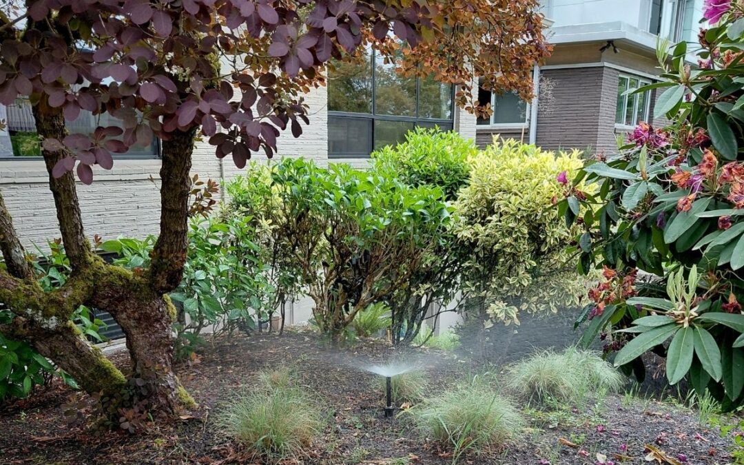 Check Valve Heads: Why Sprinkler Systems Should Use Them!