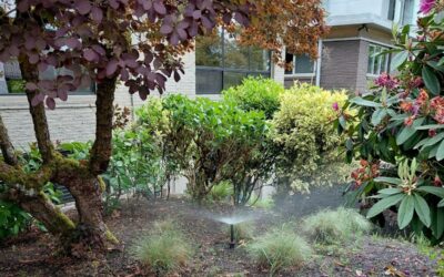Check Valve Heads: Why Sprinkler Systems Should Use Them!