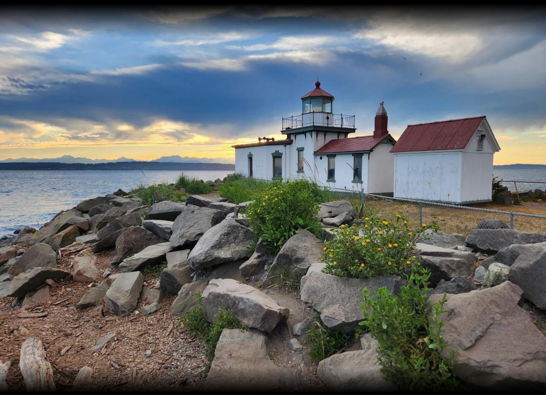 magnolia wa discovery park magnolia wa landscapers