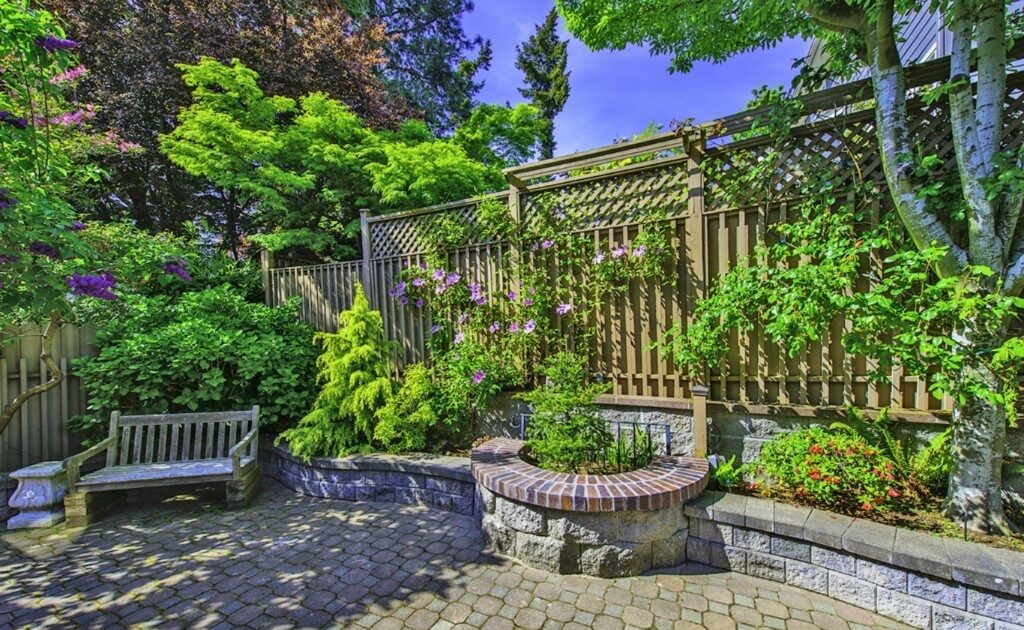 Backyard planting project.