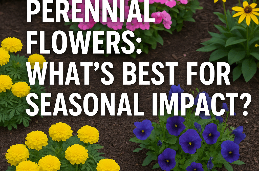 Annual vs Perennial Flowers