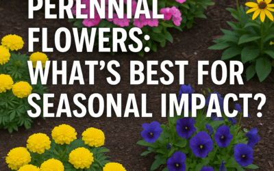 Annual vs Perennial Flowers
