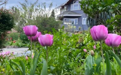 What is a Seasonal Color Program