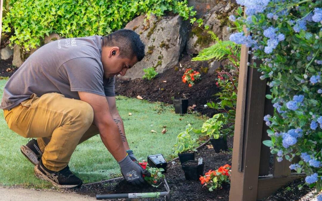 seasonal color installation in a Seattle front yard