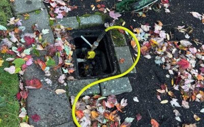 Why Seattle’s Mild Winters Still Require Sprinkler Blowouts