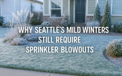 Why Seattle’s Mild Winters Still Require Sprinkler Blowouts