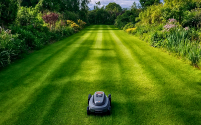 Battery-Powered vs. Gas-Powered Landscape Equipment: Pros and Cons