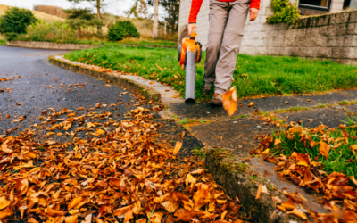 Seattle’s Gas Leaf Blower Ban: What It Means for Homeowners and Landscapers