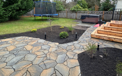 Winter Landscaping Design Tips for Seattle Homeowners