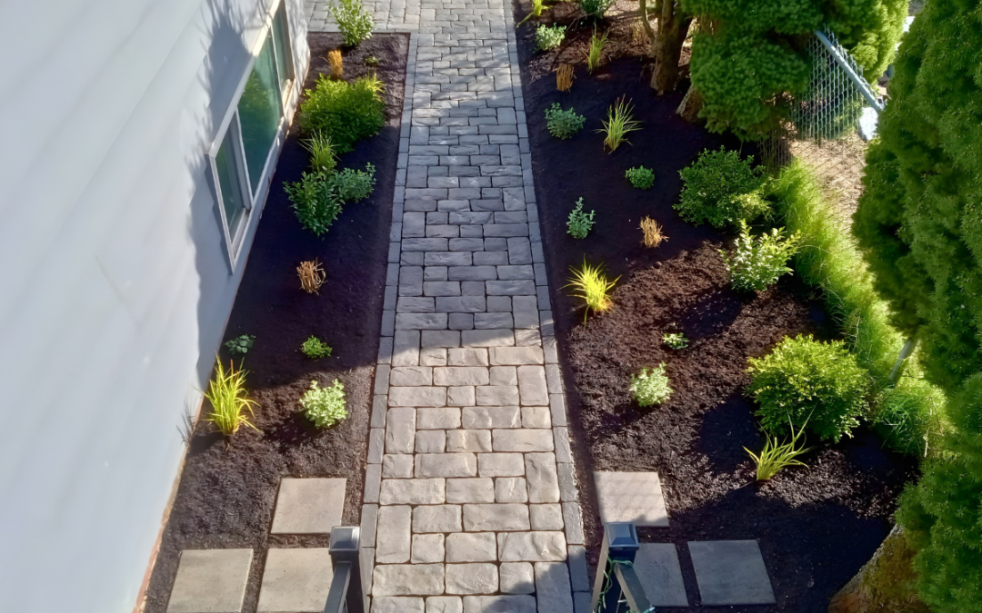 Do I Really Need a Landscape Design Plan?