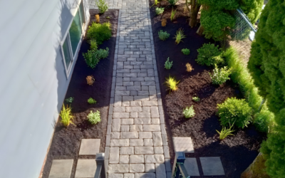 Do I Really Need a Landscape Design Plan?