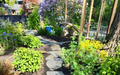 How to Create a Low-Maintenance Landscape in the Pacific Northwest