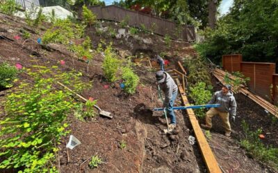 What’s the Difference Between a Landscape Designer and a Landscape Architect?