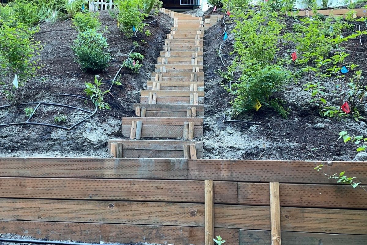 mall urban Seattle yard with custom landscape design