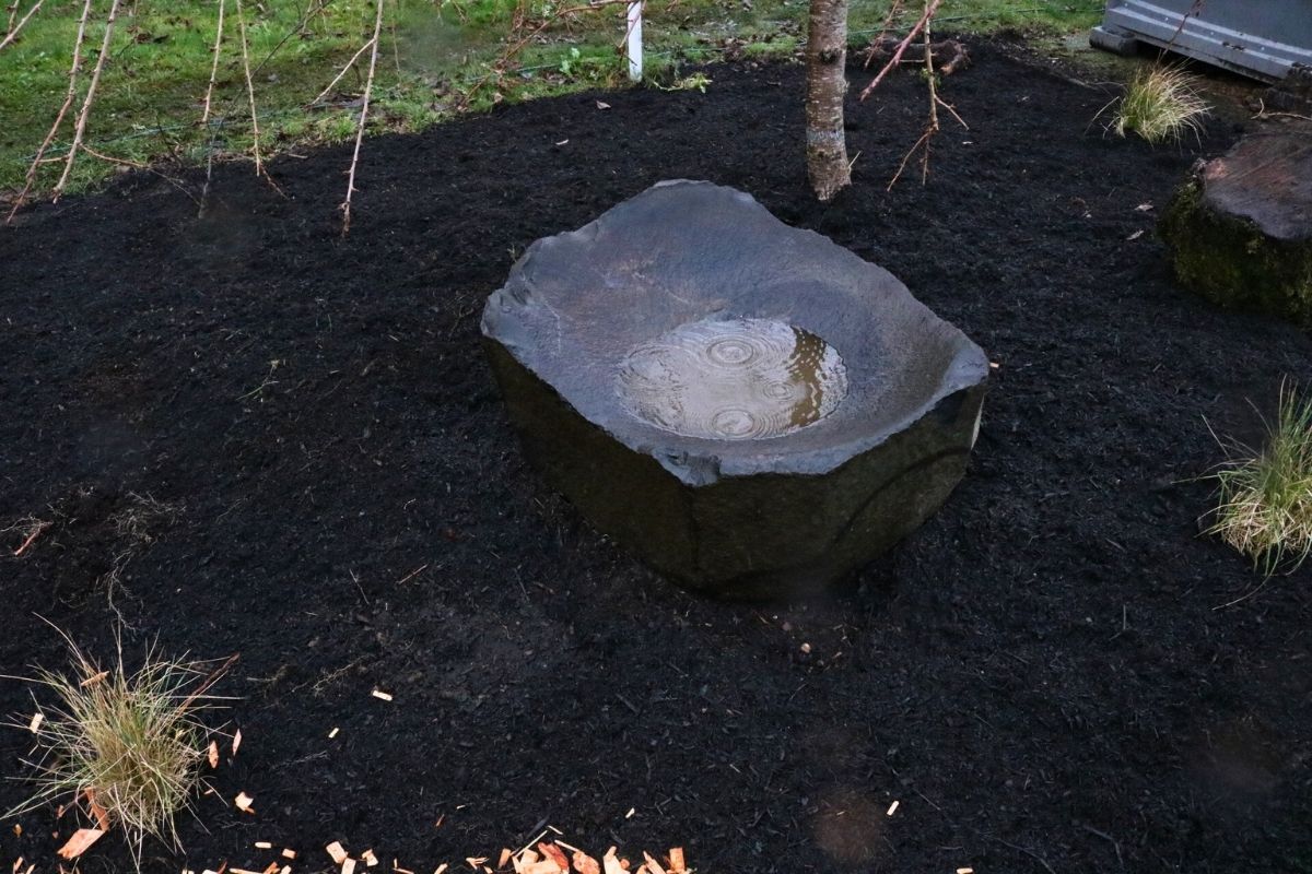 Birdbath integrated into natural garden