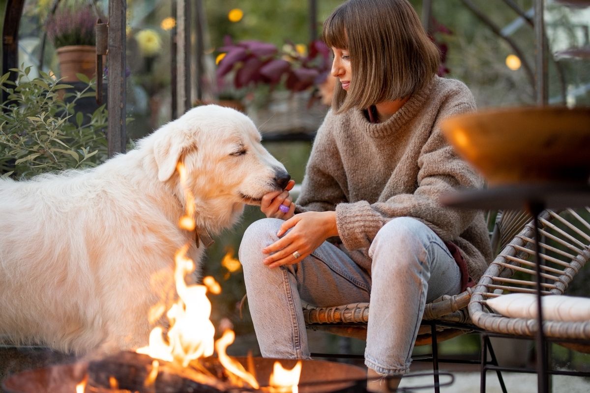 Big Dog enjoying fire pit next to houseowner