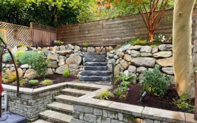 What Should I Expect from a Landscape Design Consultation?