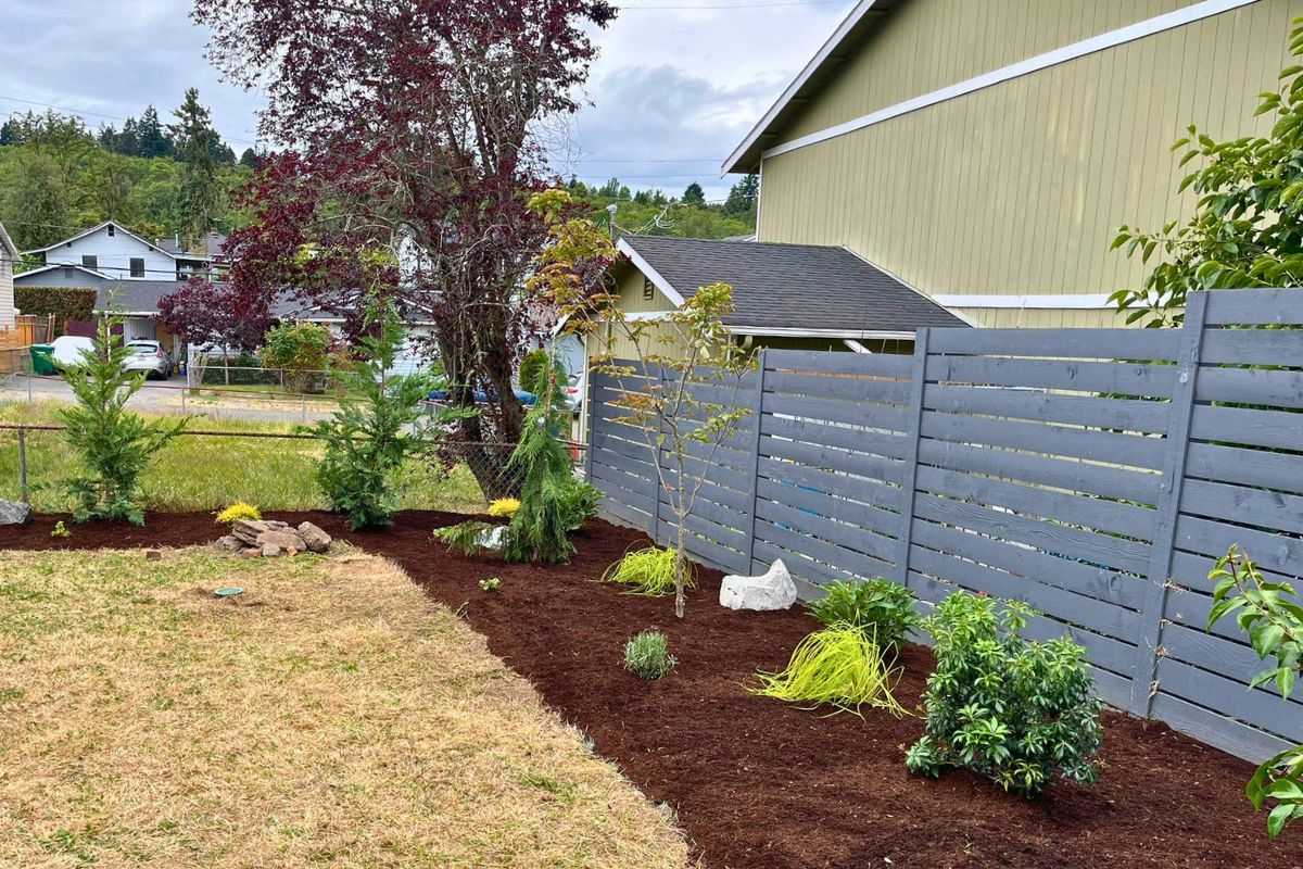 Seattle spring landscape refresh with native plants