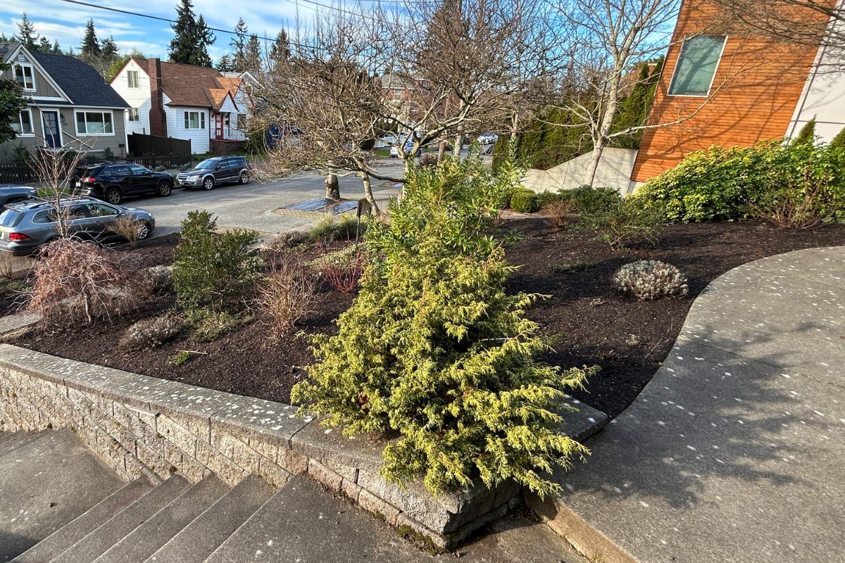 Seattle spring landscape refresh