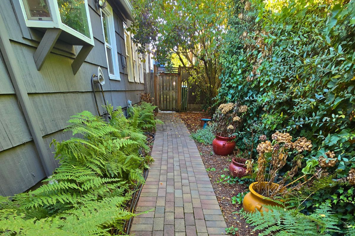 Hedgerow tipical from Seattle