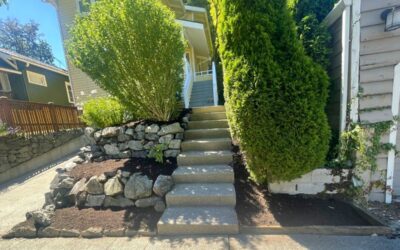 Hedge vs. Hedgerow: What’s the Difference, and Which Is Right for Your Landscape?