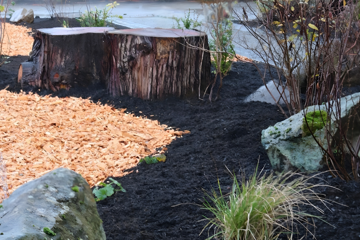 Native plant garden in a Seattle backyard