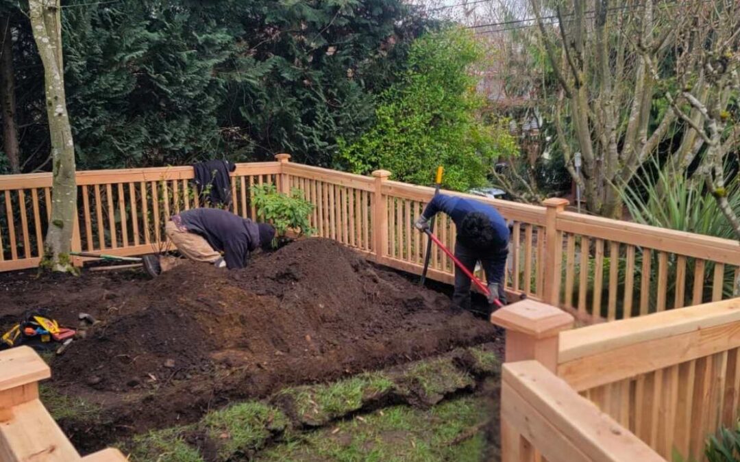 Drainage Field Installation