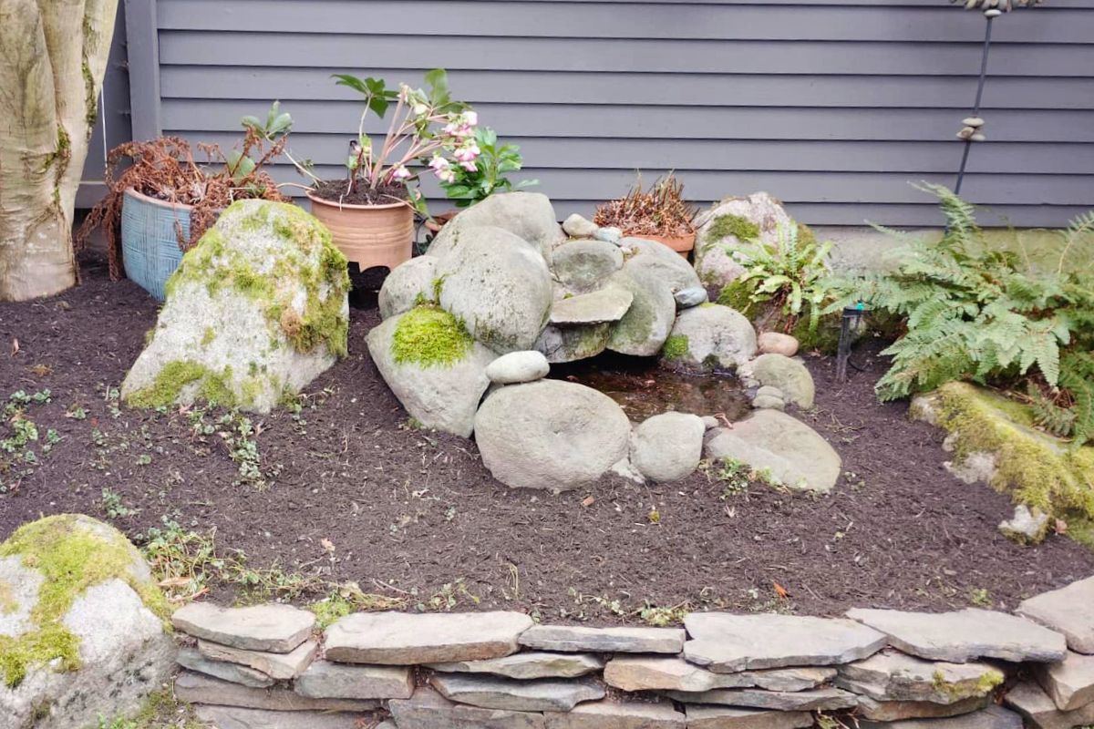 Organic compost topdressing application in residential yard