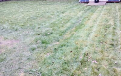 How to Tell If Your Soil Needs Restoration