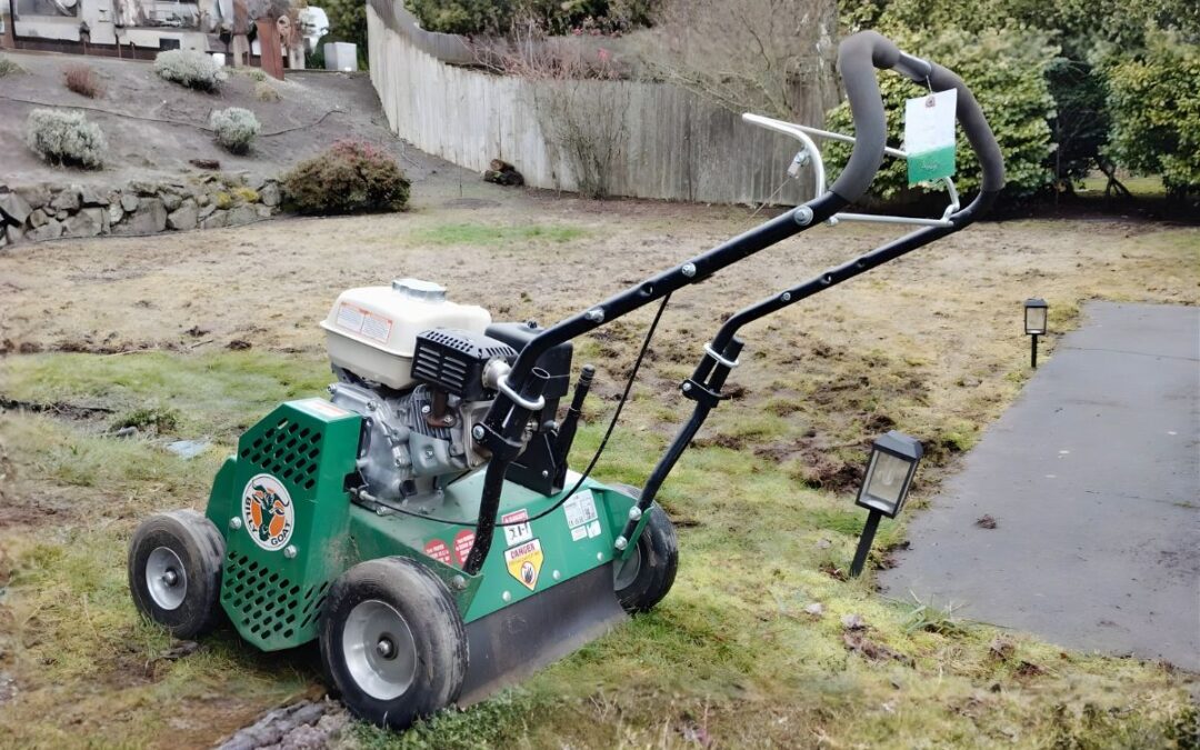 Moss Removal