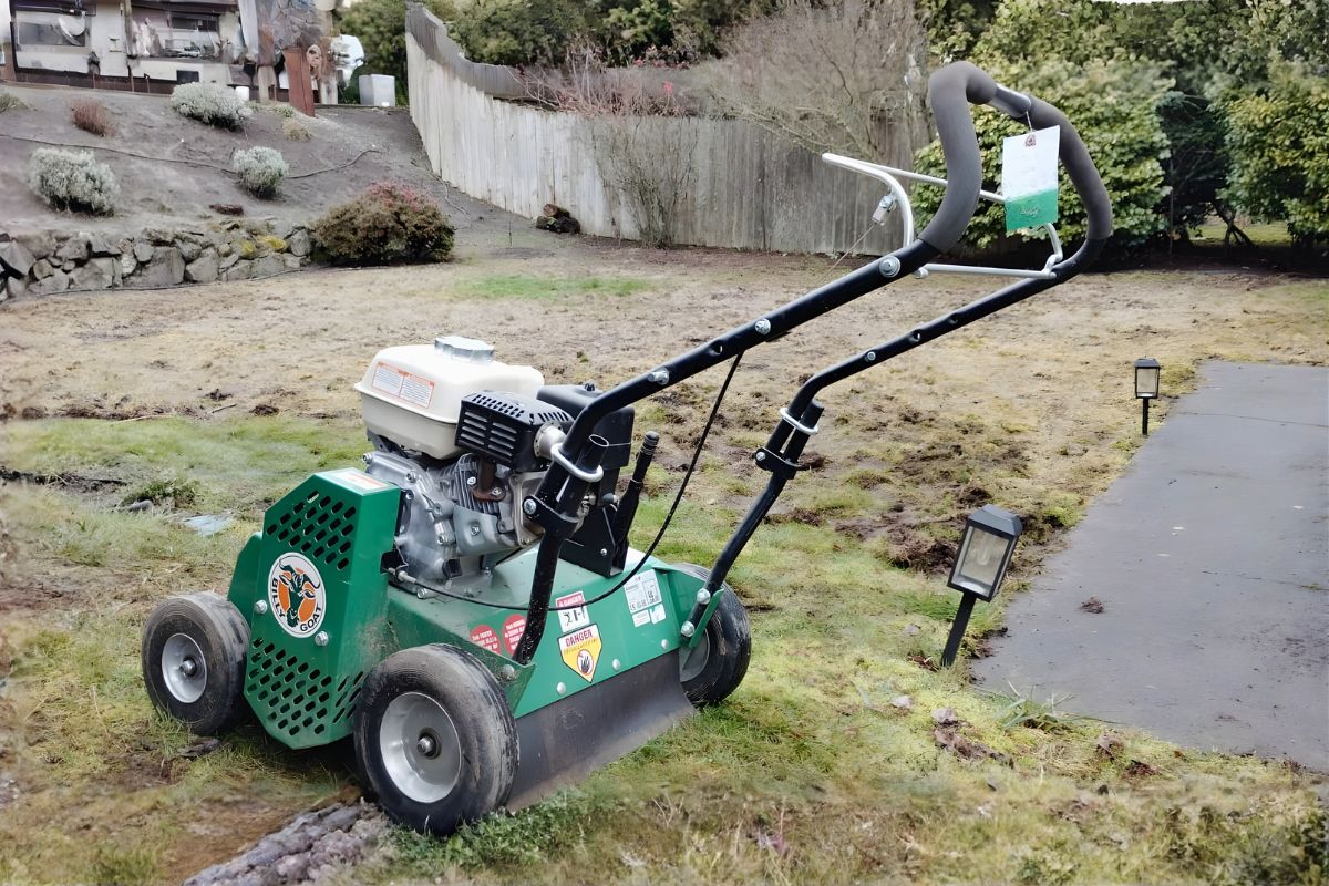 Moss growth caused by poor soil structure in Seattle