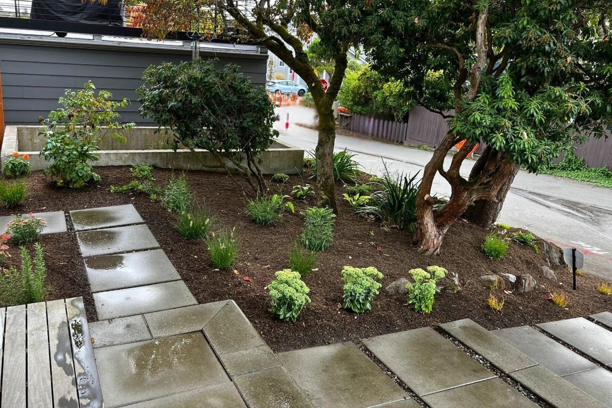 small front yard Landscape Design Spring Project