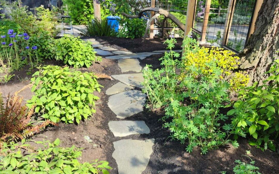 How to Fix a Patchy in Seattle