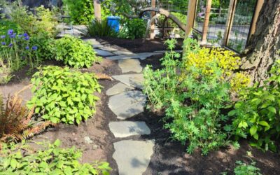 How to Fix a Patchy in Seattle