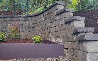 Using Metal in Seattle Landscape Design: Structure, Contrast, and Long-Term Performance