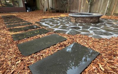 The Lifecycle of a Seattle Landscape: Seasonal Maintenance Guide