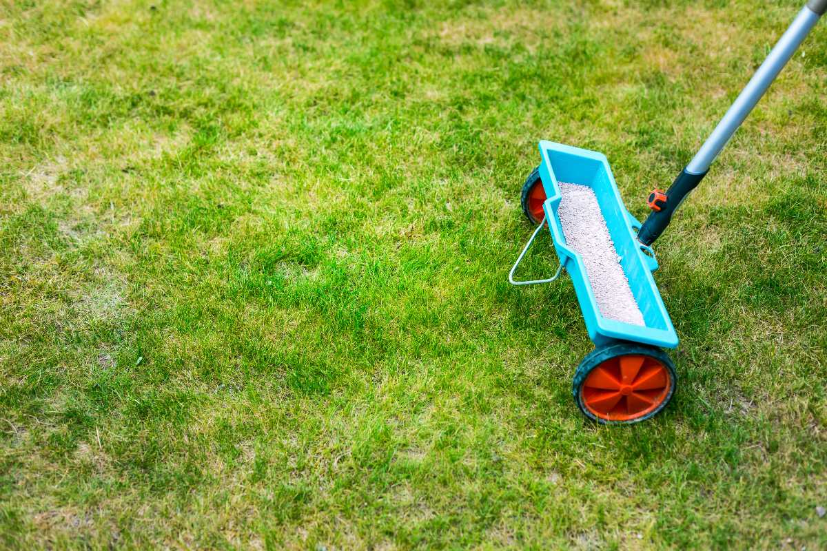 lawn fertilization Seattle yard care