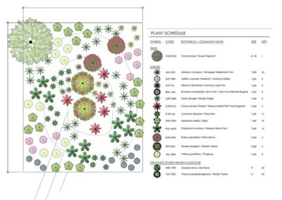 Planting design plans in color