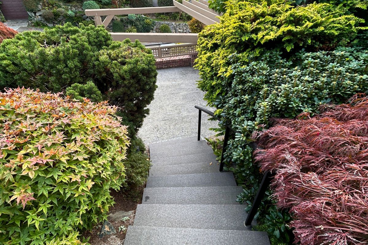 professional shrub pruning landscape maintenance Seattle