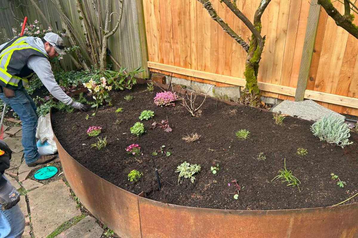 landscape maintenance service Seattle garden care