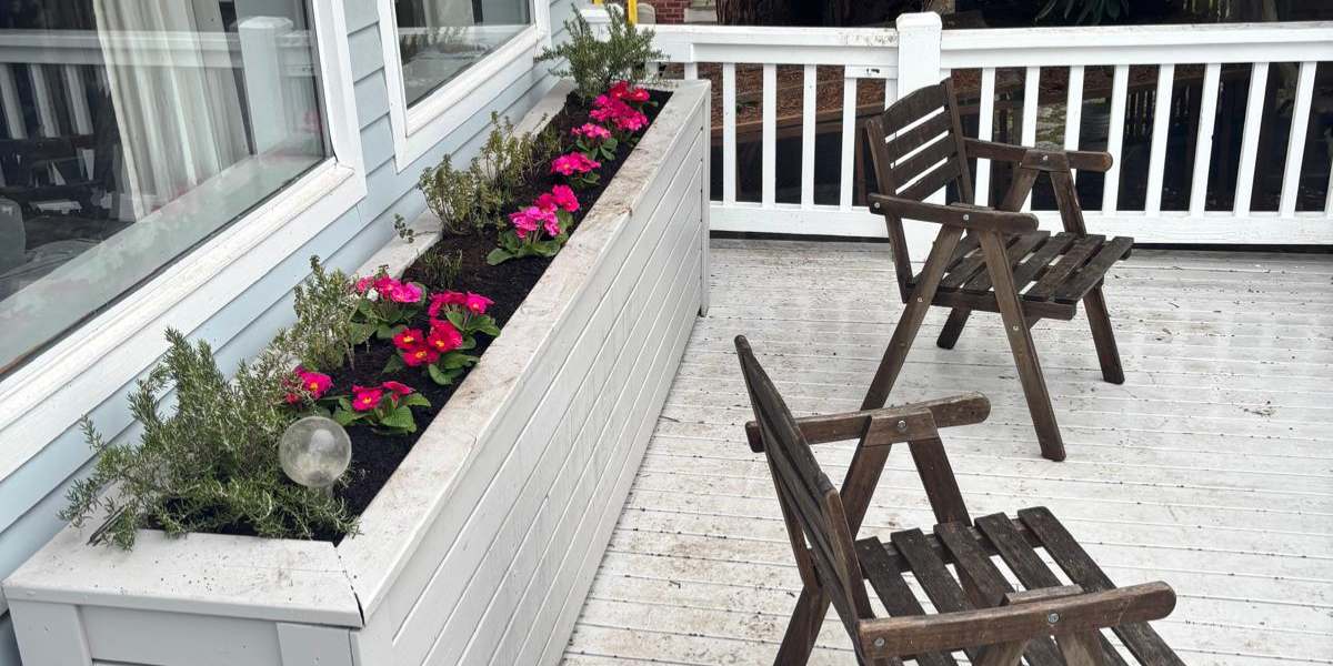 pansies violas spring planting Seattle