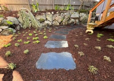 Stepping stone pathway recently installed and planted