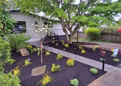 Front Yard renovation